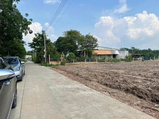 Bất động sản tại Bình Dương - ảnh 1