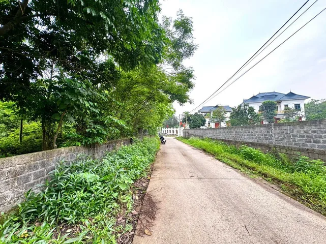 Bất động sản tại Phú Thọ - ảnh 1