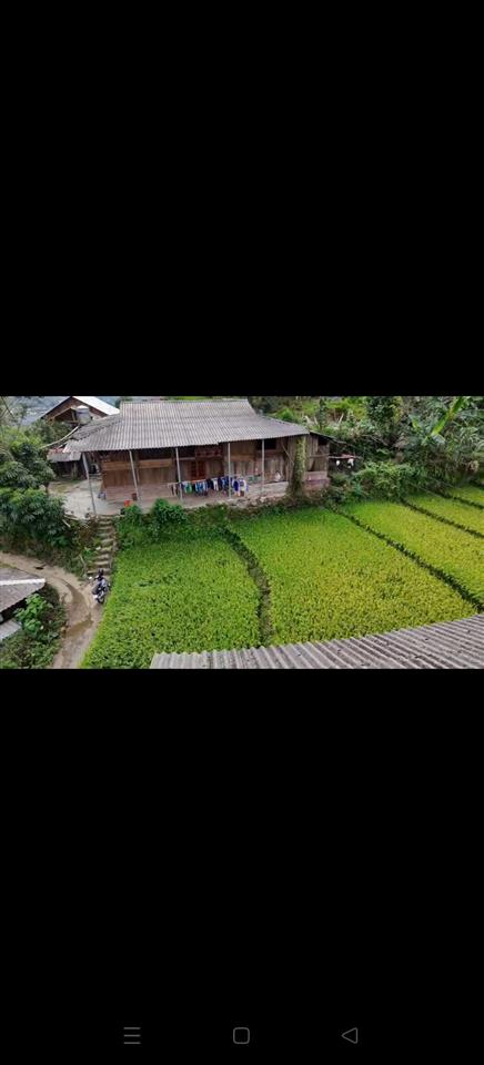 Bất động sản tại Lào Cai - ảnh 1