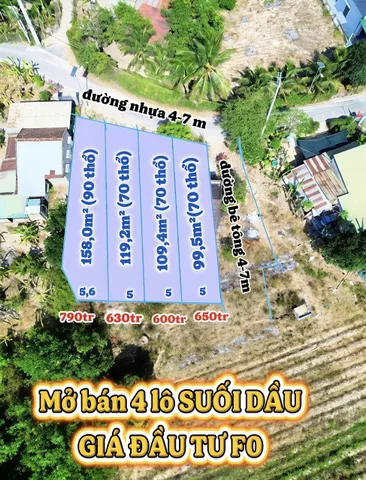 Bất động sản tại Khánh Hòa - ảnh 1