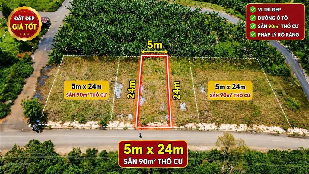 Bất động sản tại Lâm Đồng - ảnh 1