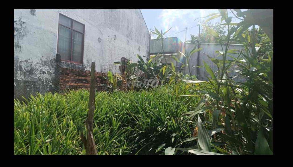 Bất động sản tại Hậu Giang - ảnh 1
