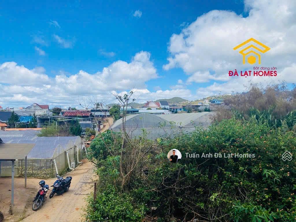 Bất động sản tại Lâm Đồng - ảnh 1