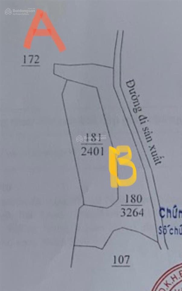 Bất động sản tại Lâm Đồng - ảnh 1