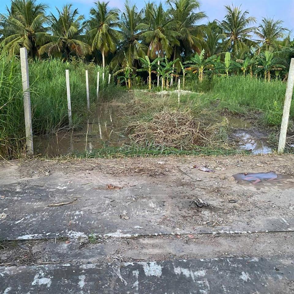 Bất động sản tại Vĩnh Long - ảnh 1