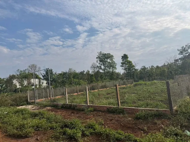Bất động sản tại Đắk Lắk - ảnh 1