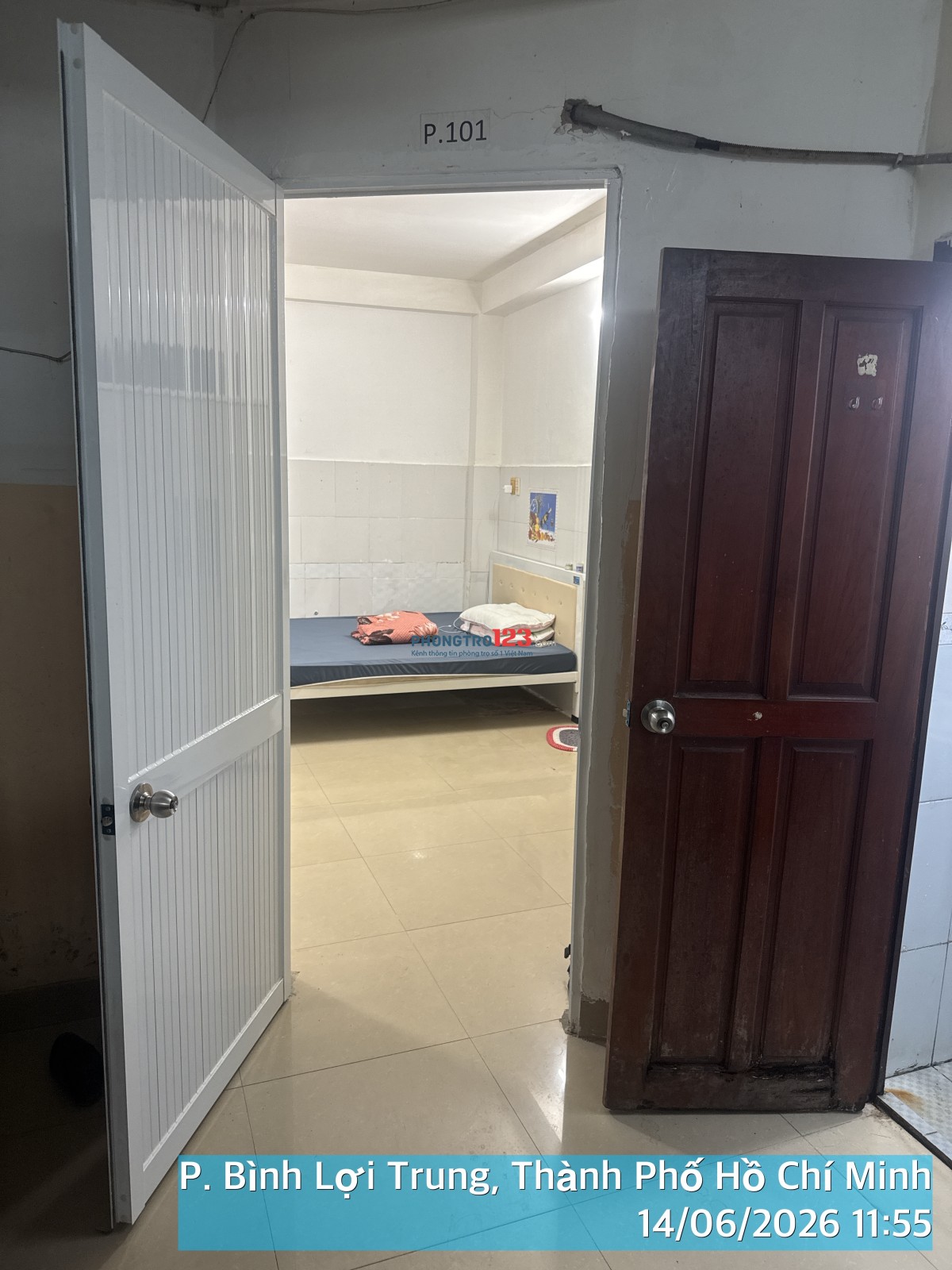 Bất động sản tại TP. Hồ Chí Minh - ảnh 1