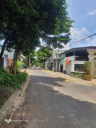 Bất động sản tại Lâm Đồng - ảnh 1