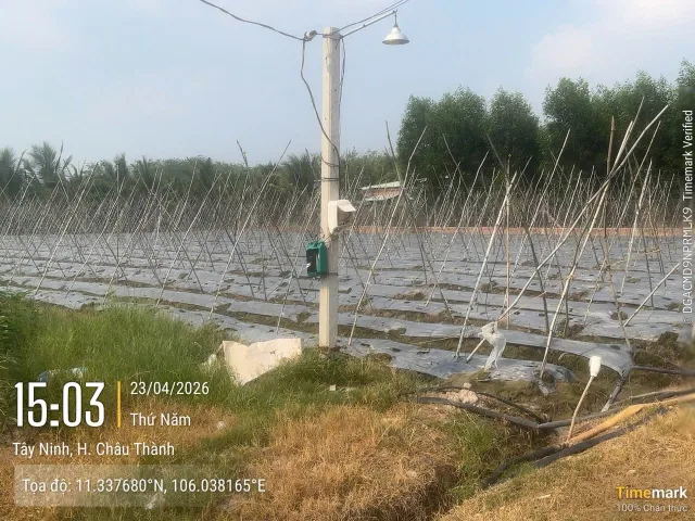 Bất động sản tại Tây Ninh - ảnh 1