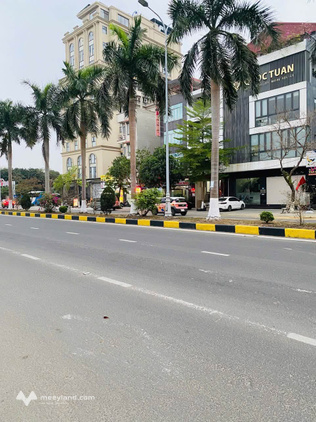 Bất động sản tại Vĩnh Phúc - ảnh 1
