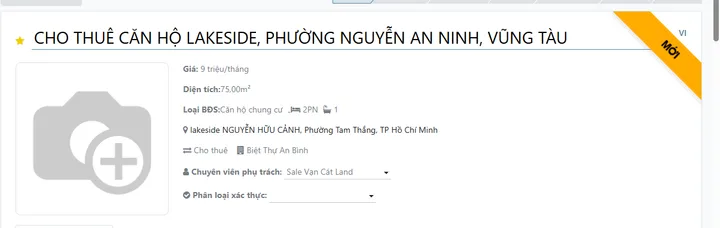 Bất động sản tại TP. Hồ Chí Minh - ảnh 1