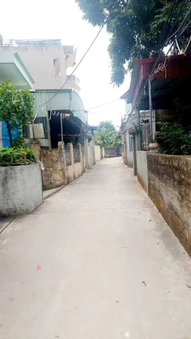 Bất động sản tại Hải Phòng - ảnh 1