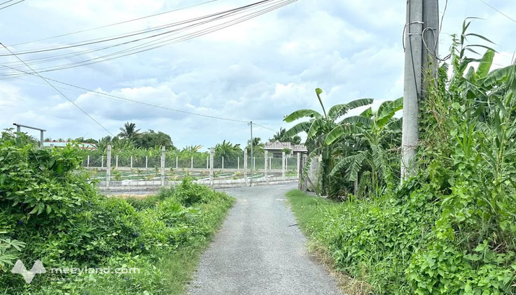 Bất động sản tại Long An - ảnh 1