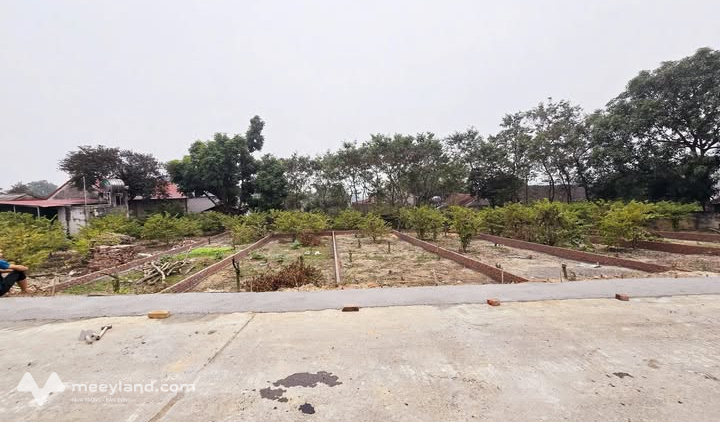 Bất động sản tại Vĩnh Phúc - ảnh 1