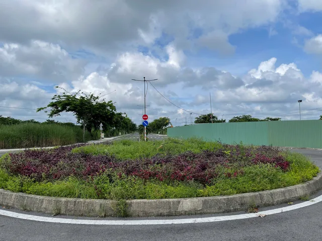 Bất động sản tại Long An - ảnh 1