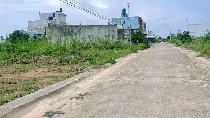Bất động sản tại Long An - ảnh 1