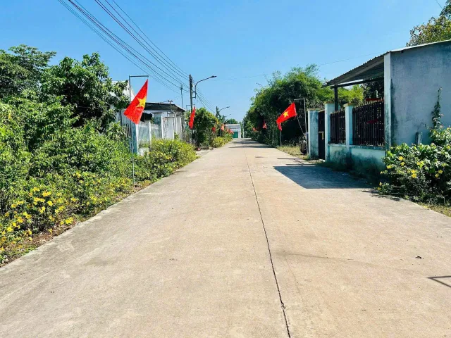 Bất động sản tại Bình Dương - ảnh 1