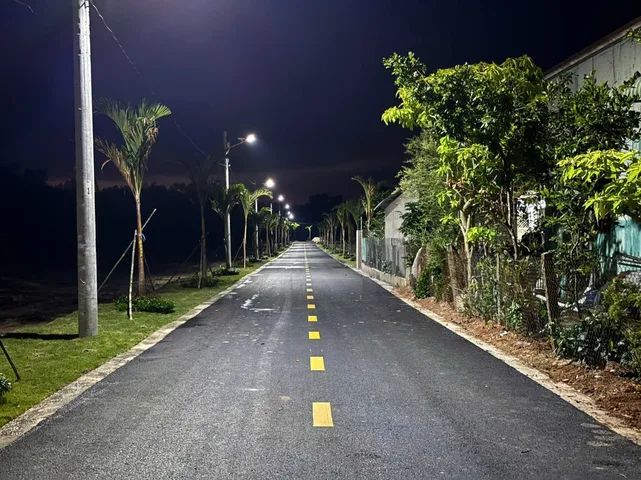 Bất động sản tại Bình Dương - ảnh 1