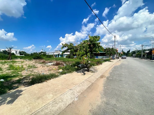 Bất động sản tại TP. Hồ Chí Minh - ảnh 1
