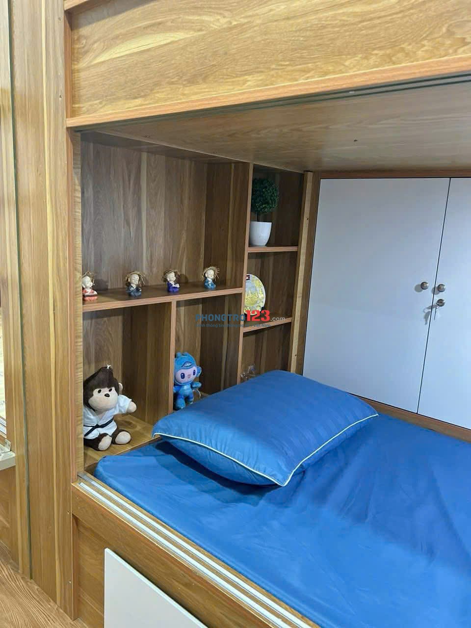 Bất động sản tại TP. Hồ Chí Minh - ảnh 1