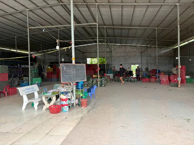 Bất động sản tại Vĩnh Long - ảnh 1
