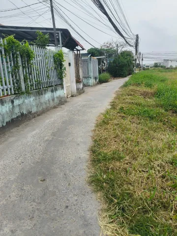 Bất động sản tại Long An - ảnh 1