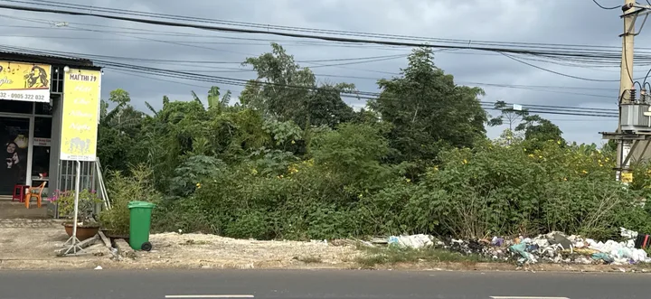Bất động sản tại Đắk Lắk - ảnh 1