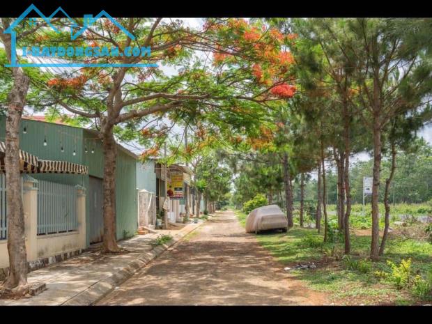 Bất động sản tại Gia Lai - ảnh 1