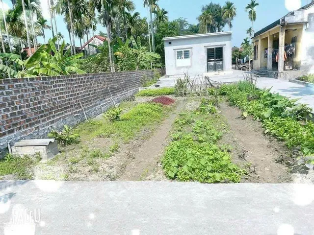 Bất động sản tại Hải Phòng - ảnh 1
