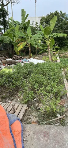 Bất động sản tại Hải Phòng - ảnh 1