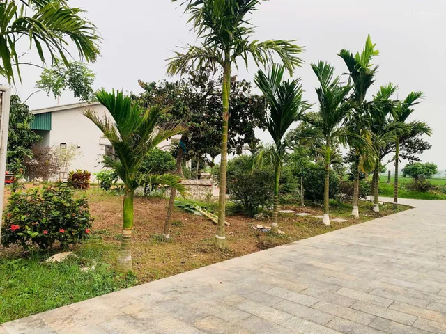 Bất động sản tại Thanh Hóa - ảnh 1