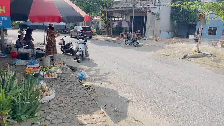Bất động sản tại Phú Thọ - ảnh 1