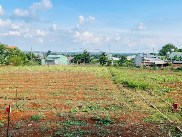Bất động sản tại Gia Lai - ảnh 1