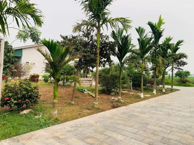 Bất động sản tại Thanh Hóa - ảnh 1