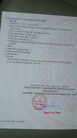 Bất động sản tại Đà Nẵng - ảnh 1