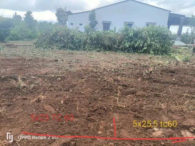 Bất động sản tại Đắk Lắk - ảnh 1