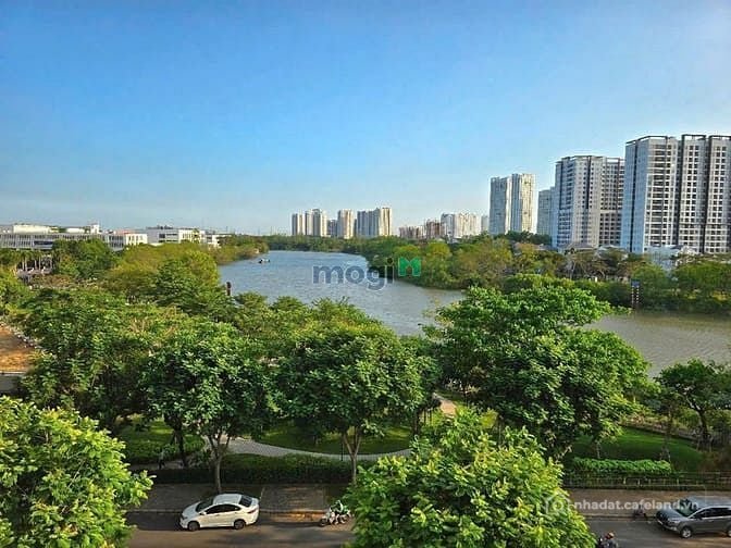 Bất động sản tại TP. Hồ Chí Minh - ảnh 1