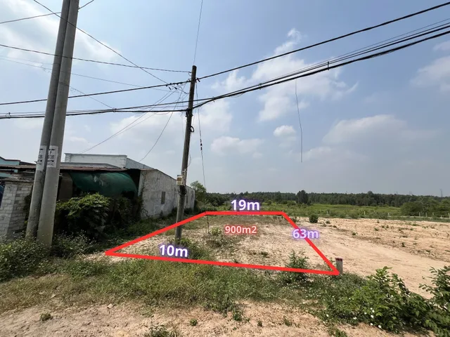 Bất động sản tại TP. Hồ Chí Minh - ảnh 1