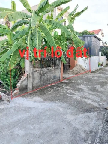 Bất động sản tại Hải Phòng - ảnh 1