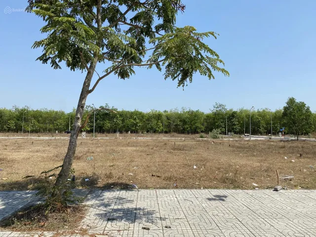 Bất động sản tại Đồng Nai - ảnh 1