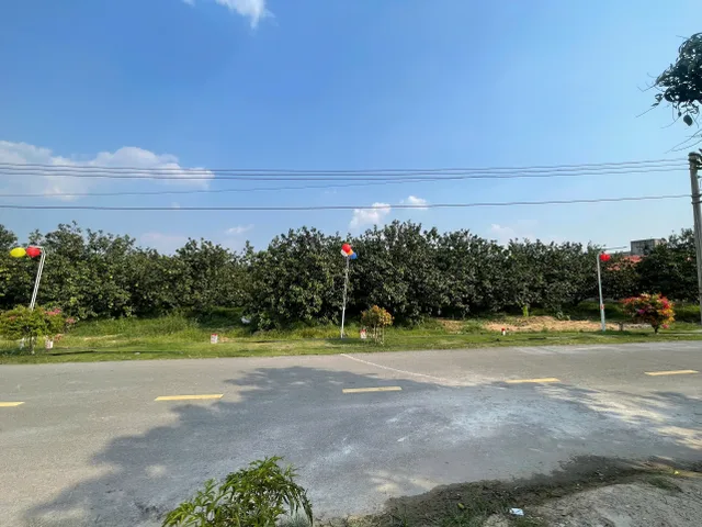 Bất động sản tại Bình Dương - ảnh 1