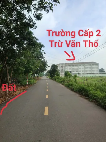 Bất động sản tại Bình Dương - ảnh 1