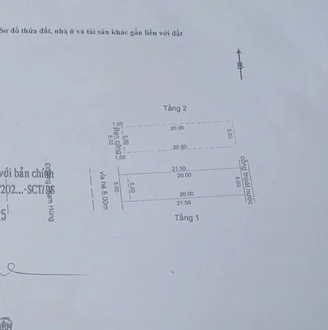 Bất động sản tại Đà Nẵng - ảnh 1