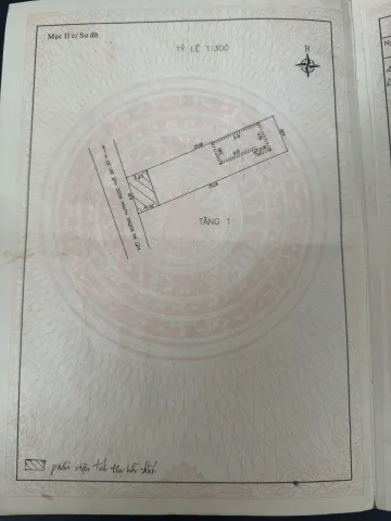 Bất động sản tại Đà Nẵng - ảnh 1