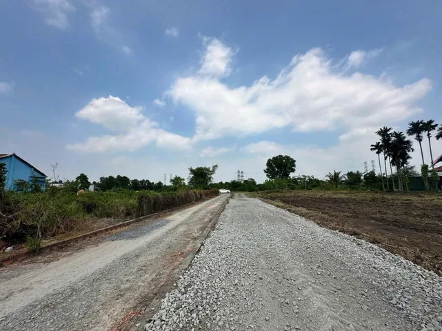 Bất động sản tại Long An - ảnh 1