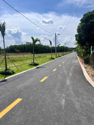 Bất động sản tại Bình Dương - ảnh 1