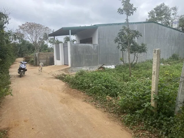 Bất động sản tại Đắk Lắk - ảnh 1