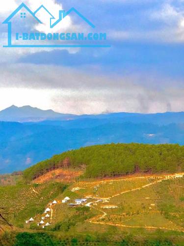 Bất động sản tại Lâm Đồng - ảnh 1