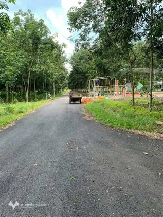 Bất động sản tại Bình Dương - ảnh 1