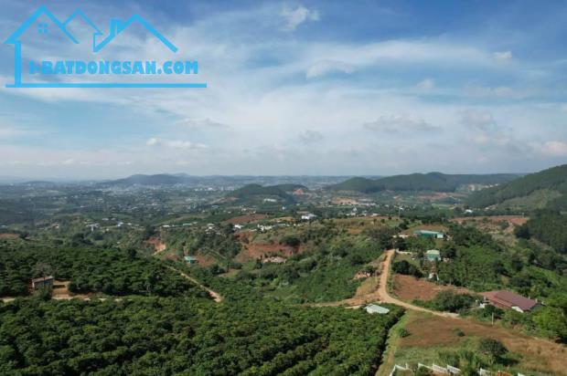Bất động sản tại Lâm Đồng - ảnh 1